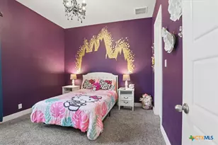 920 Carriage Loop, New Braunfels, TX 78132 - Photo 28