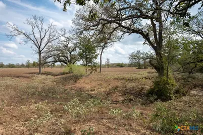 1610 Silver Mine Road, Dale, TX 78616 - Photo 28