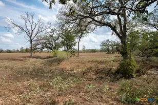 1610 Silvermine Rd, Dale, TX 78616 - Photo 28
