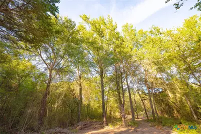 12424 Red Hill Road, Hearne, TX 77859 - Photo 14