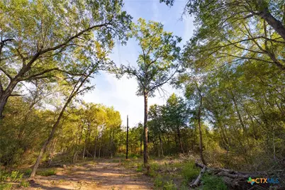 12424 Red Hill Road, Hearne, TX 77859 - Photo 18