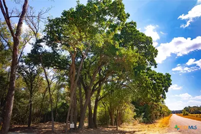 12424 Red Hill Road, Hearne, TX 77859 - Photo 2