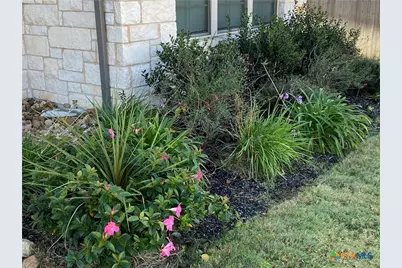 1145 Carriage Loop, New Braunfels, TX 78132 - Photo 2