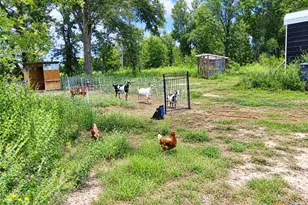 113 N County Road 681, Teague, TX 75860 - Photo 24