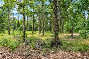 113 N County Road 681, Teague, TX 75860 - Photo 38