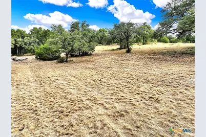2475 George Pass, Canyon Lake, TX 78133 - Photo 8