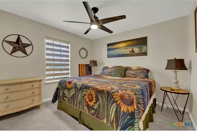 260 Mexican Hat Drive, Spring Branch, TX 78070 - Photo 28