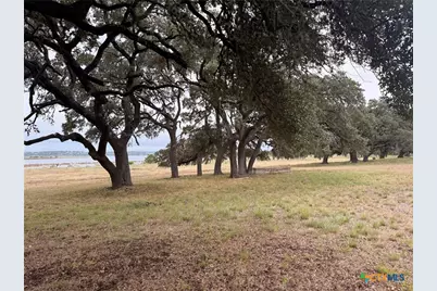 4401 Potters Creek Road, Canyon Lake, TX 78133 - Photo 6
