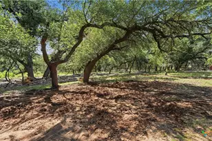 1973 Desiree St, Canyon Lake, TX 78133 - Photo 32