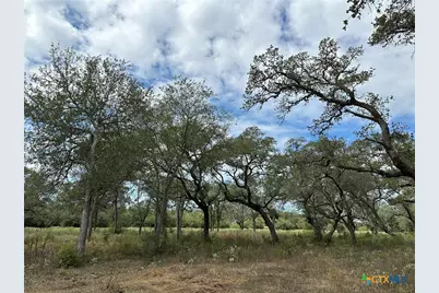 Tract 4 Regan, Victoria, TX 77905 - Photo 4