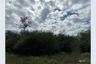 Tract 4 Regan, Victoria, TX 77905 - Photo 6