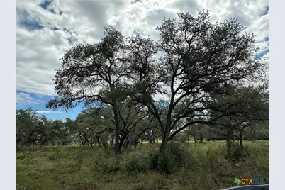 Tract 4 Regan, Victoria, TX 77905 - Photo 8