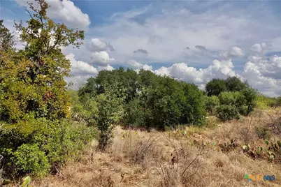 1722 W Fm 574, Mullin, TX 76864 - Photo 34