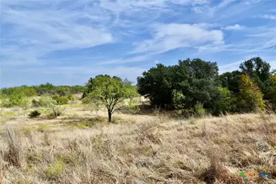 1722 W Fm 574, Mullin, TX 76864 - Photo 16