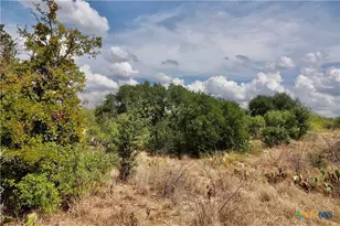 1722 W Fm 574, Mullin, TX 76864 - Photo 34