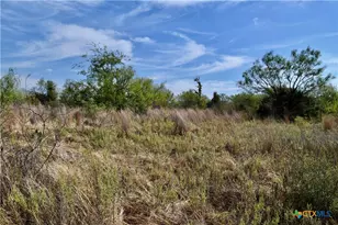 1722 W Fm 574, Mullin, TX 76864 - Photo 18