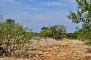 1722 W Fm 574, Mullin, TX 76864 - Photo 26