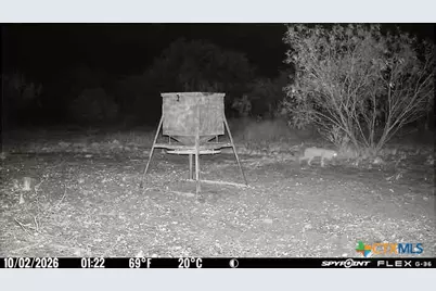 1722 W Fm 574, Mullin, TX 76864 - Photo 14