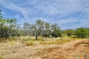 1722 W Fm 574, Mullin, TX 76864 - Photo 20