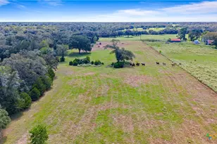 442 County Rd 16D, Hallettsville, TX 77964 - Photo 6