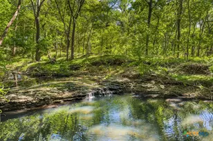 120 Cr 3646, Clifton, TX 76634 - Photo 16