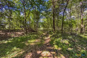 120 Cr 3646, Clifton, TX 76634 - Photo 12
