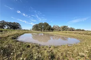 1665 Garrett Rd, Yoakum, TX 77995 - Photo 22
