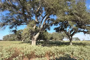 1665 Garrett Rd, Yoakum, TX 77995 - Photo 1