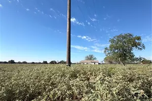 1665 Garrett Rd, Yoakum, TX 77995 - Photo 20