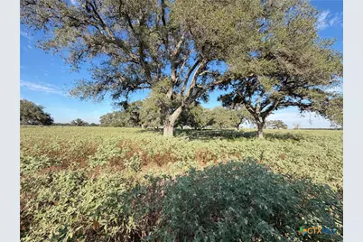 1665 Garrett Road, Yoakum, TX 77995 - Photo 4