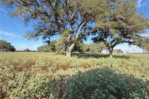 1665 Garrett Rd, Yoakum, TX 77995 - Photo 4