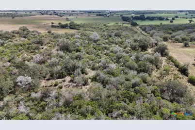4444 County Road 343, Kenedy, TX 78119 - Photo 38
