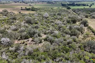 4444 County Rd 343, Kenedy, TX 78119 - Photo 38