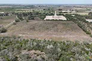 4444 County Rd 343, Kenedy, TX 78119 - Photo 30