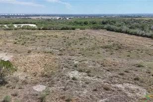 4444 County Rd 343, Kenedy, TX 78119 - Photo 12