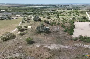 4444 County Rd 343, Kenedy, TX 78119 - Photo 28