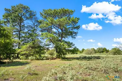 200 Lonita Lane, La Grange, TX 78963 - Photo 12