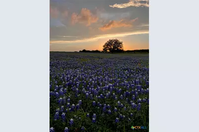 2265 County Road 106, Purmela, TX 76566 - Photo 38