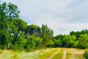 8365 Fm 2412, Gatesville, TX 76528 - Photo 32
