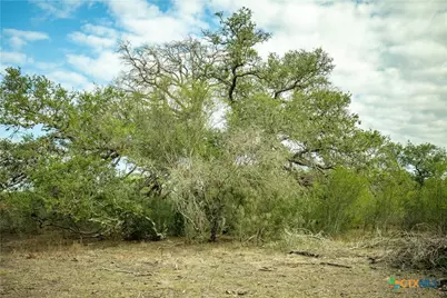 1116 Earl Williams Road, Yorktown, TX 77954 - Photo 34