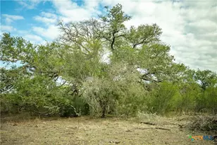1116 Earl Williams Rd, Yorktown, TX 77954 - Photo 34