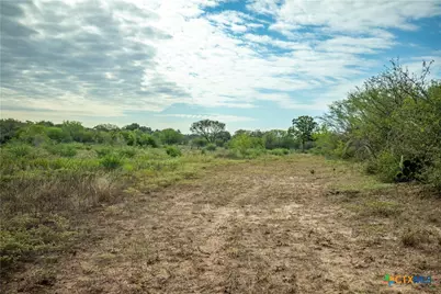 1116 Earl Williams Road, Yorktown, TX 77954 - Photo 30