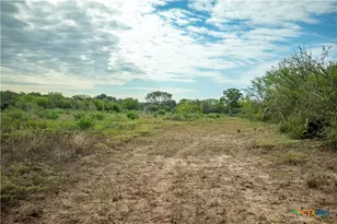1116 Earl Williams Rd, Yorktown, TX 77954 - Photo 30