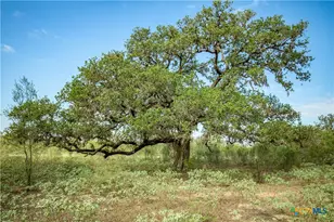 1116 Earl Williams Rd, Yorktown, TX 77954 - Photo 44