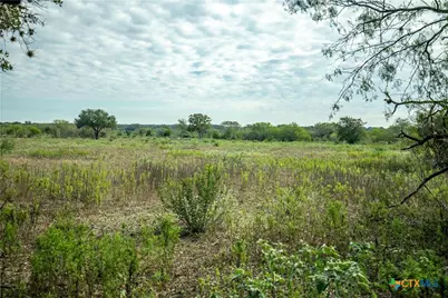 1116 Earl Williams Road, Yorktown, TX 77954 - Photo 28