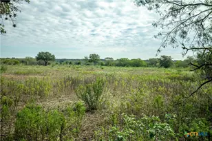 1116 Earl Williams Rd, Yorktown, TX 77954 - Photo 28
