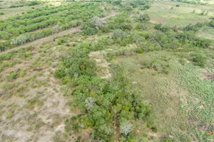 1116 Earl Williams Rd, Yorktown, TX 77954 - Photo 8