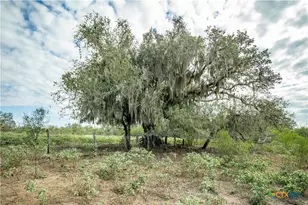 1116 Earl Williams Rd, Yorktown, TX 77954 - Photo 42