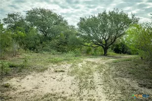 1116 Earl Williams Rd, Yorktown, TX 77954 - Photo 32