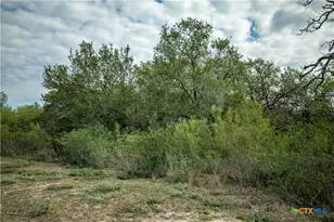 1116 Earl Williams Rd, Yorktown, TX 77954 - Photo 40